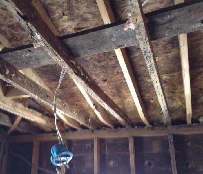 Mold on the sheeting and rafters