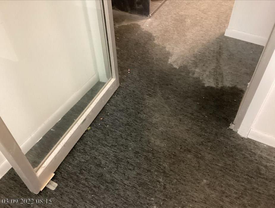 Wet carpet in the door way